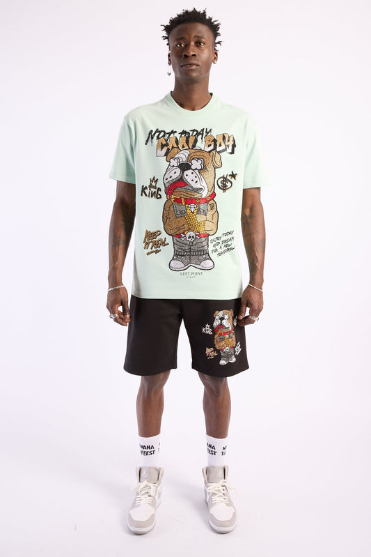 Conjunto Left Point Beige Pedrería Brillante Perro Rey De La Calle